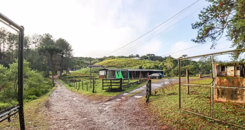 Prédio comercial na estrada engenheiro marsilac, n. 4675 - restaurante  • 10000 m²