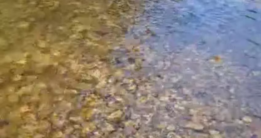 Chácara para venda em cuiabá, coxipó do ouro, 3 dormitórios, 3 suítes, 4 banheiros, 3 vagas