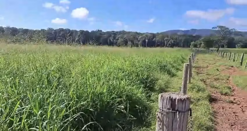 Chácara para venda em santo antônio do leverger, zona rural, 4 dormitórios, 2 banheiros