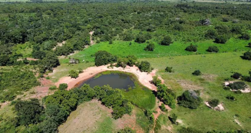 Fazenda para venda em santo antônio do leverger, zona rural