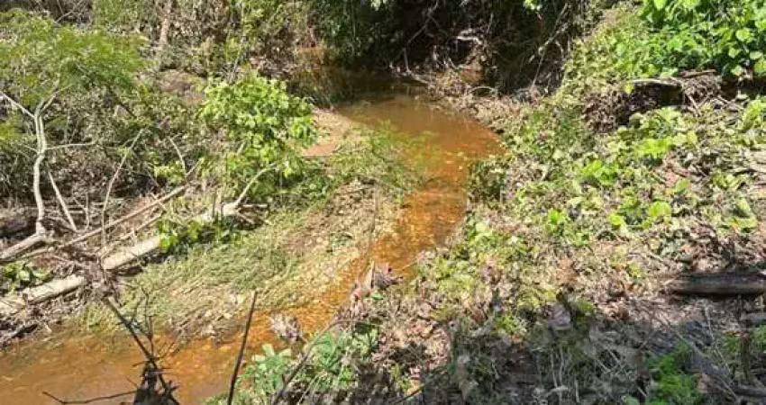 Sítio para venda em nossa senhora do livramento, zona rural