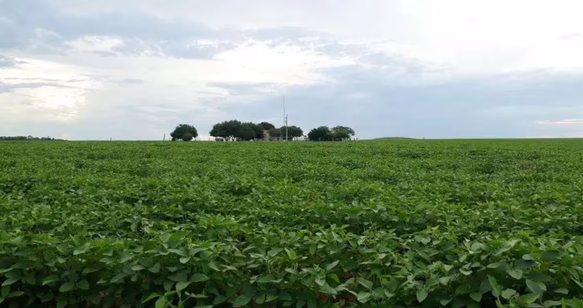 Fazenda à venda na Avenida dos Tarumãs, SN, Zona Rural, Sinop