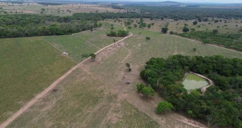 Fazenda para venda em santo antônio do leverger, zona rural
