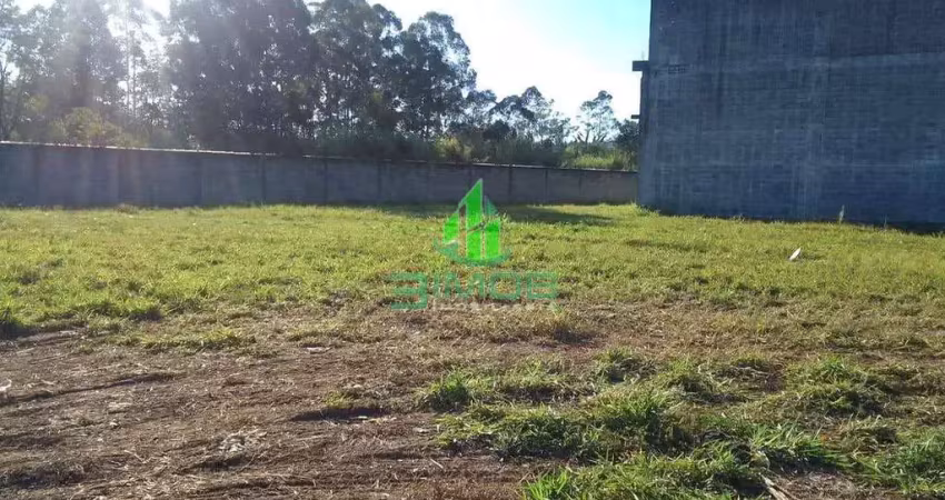 Terreno para locação, 14000m2 a.t. cumbica, guarulhos, sp