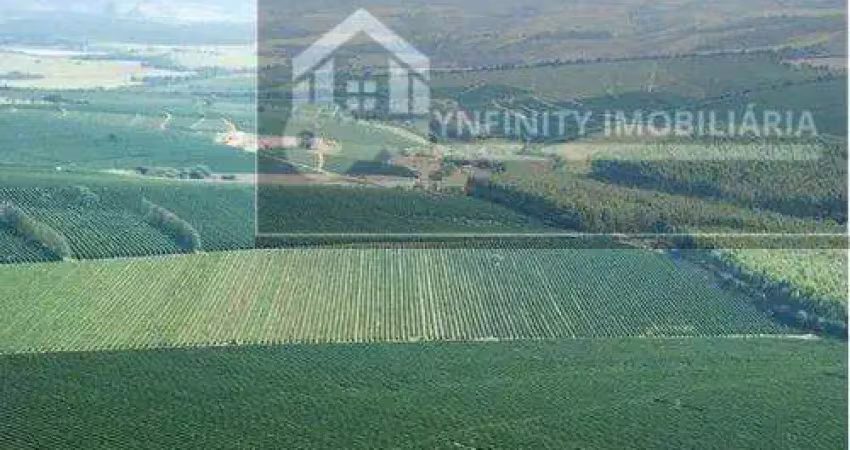 Fazenda região sul de minas - excelente investimento