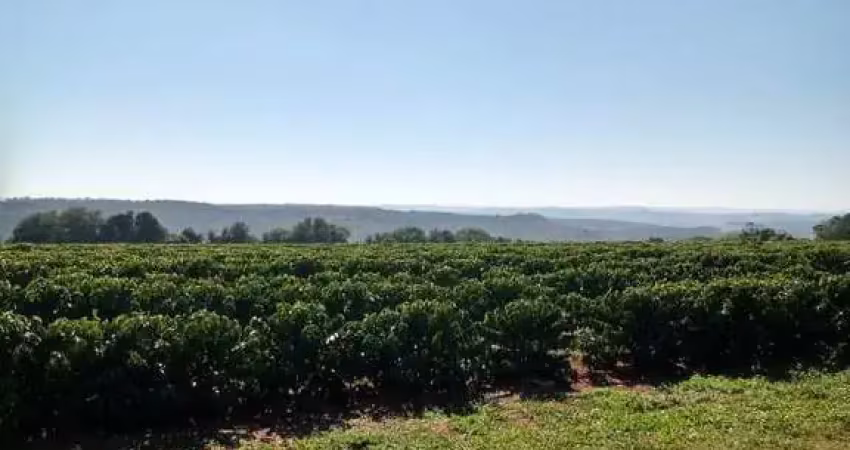 Fazenda região sul de minas - excelente investimento