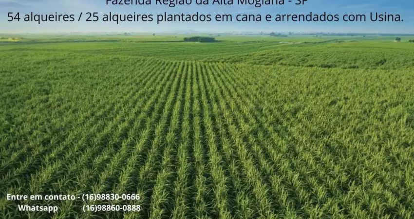 Fazenda à venda no Centro, Batatais 