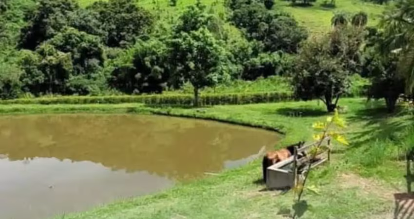 Sítio a venda em jacutinga mg com 6.73 alqueires com 5mil pés de cafe