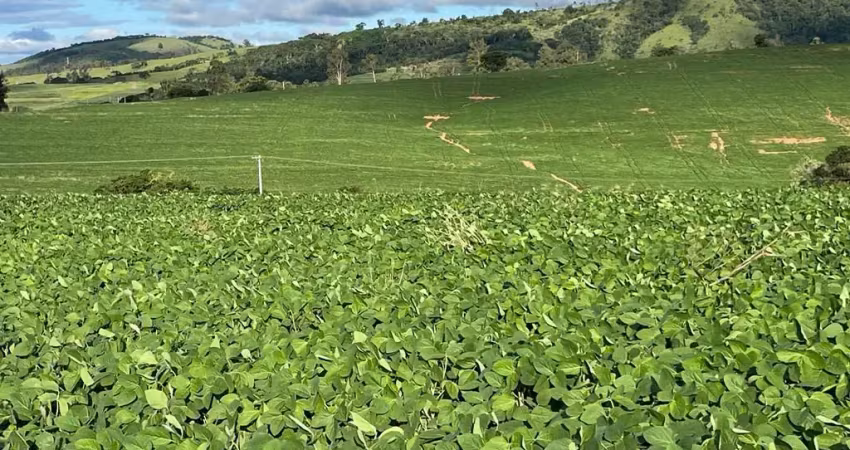 Fazenda a venda em itapira sp para produção com 58 alqueires