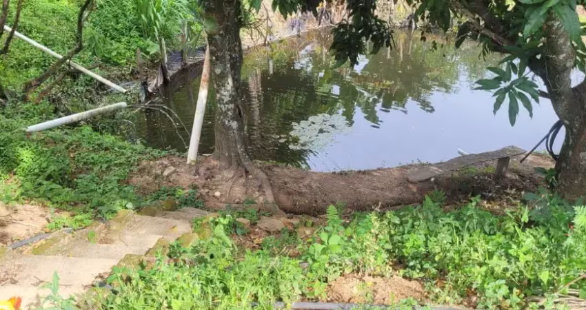 Sítio a venda em jacutinga-mg com café em produção e com vista linda pras montanhas
