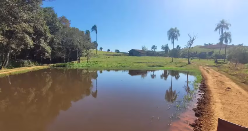 Sítio a venda com 10 alqueires em jacutinga mg com excelente topografia