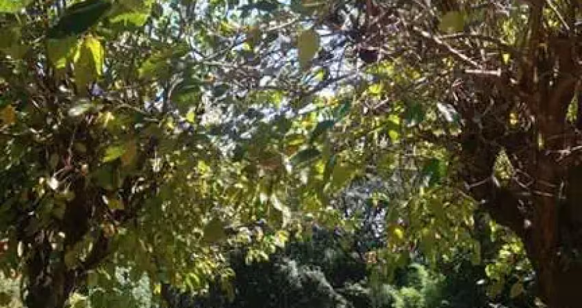 Chácara / sítio com 5 quartos à venda no Centro, Matozinhos 
