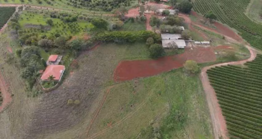 Fazenda são gotardo mg 399 ha café abacate  pecuária