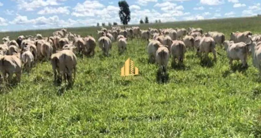 Fazenda com 2 salas à venda na Zona Rural, Bonito de Minas 