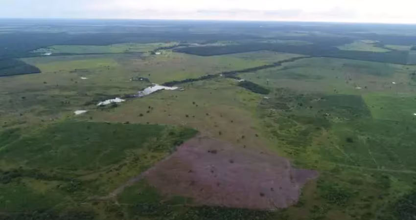 Fazenda à venda em Zona Rural, Santa Rita do Tocantins 