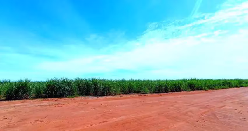 Fazenda à venda no Centro, Uberaba 