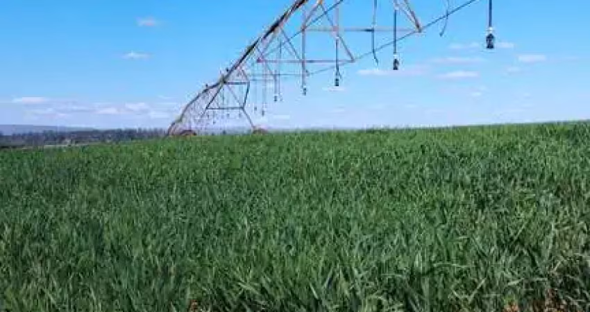 Fazenda à venda na Área Rural de Araxá, Araxá 