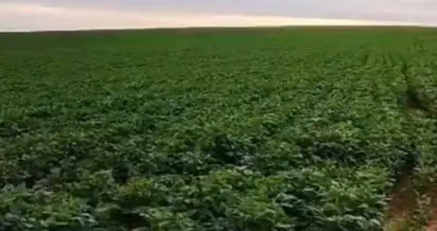 Fazenda à venda na Área Rural de Araxá, Araxá 