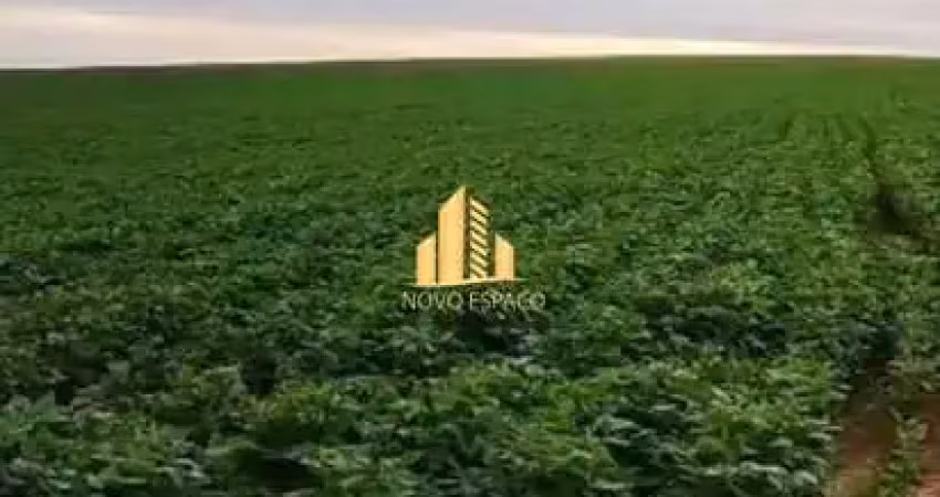 Fazenda de 630 hectares em araxa  para plantio sequeiro, irrigado e pecuária.
