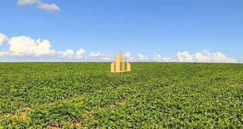 Fazenda à venda na Zona Rural, Perdizes 