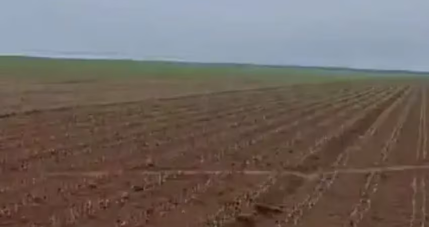 Fazenda à venda na Área Rural de Araxá, Araxá 