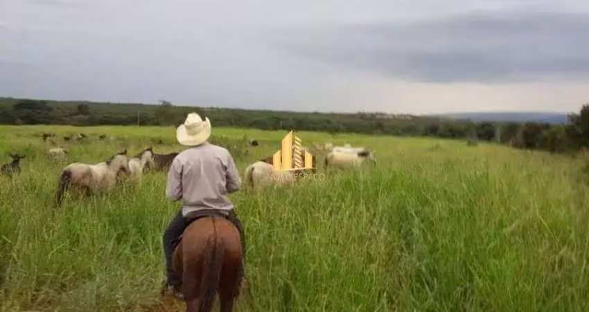 Fazenda à venda na Zona Rural, Augusto de Lima 