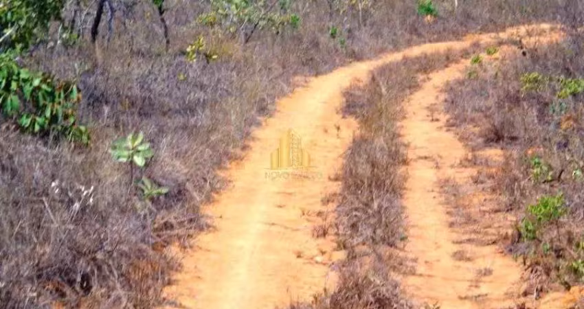 Fazenda bocaiuva mg 1000 hectares região com eucalipto