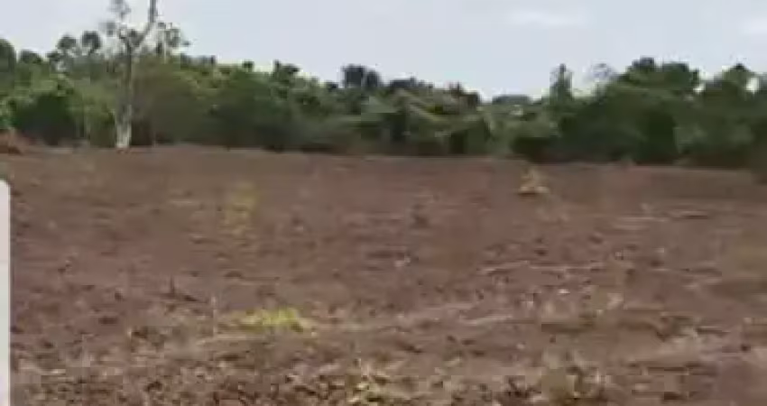Fazenda à venda no Setor Central, Peixe 