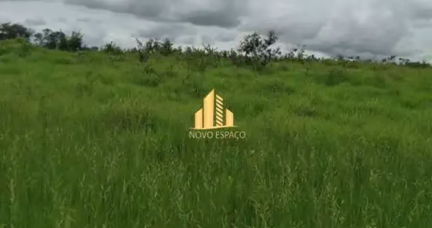 Fazenda 113 hectares entre o município morro da garça e corinto