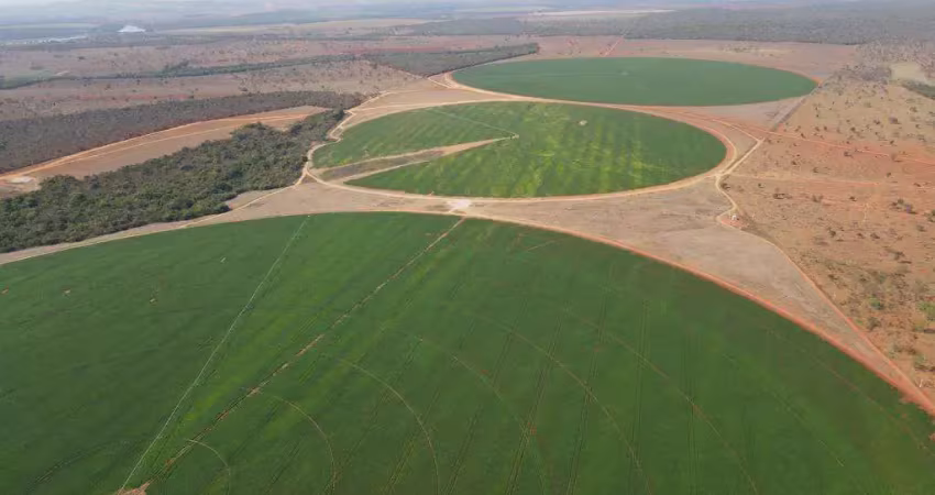 Fazenda ideal para laranja abacate etc.. irrigada em pivôs  região central de minas
