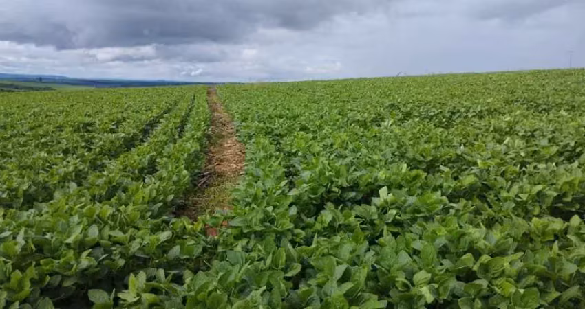 Fazenda à venda no Alvorada, Araxá 