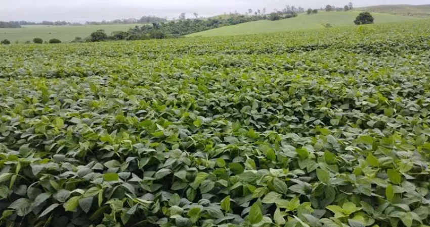 Fazenda de 128 hectares em 10 minutos de araxá sentido sacramento