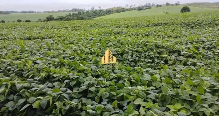 Fazenda de 128 hectares em 10 minutos de araxá sentido sacramento