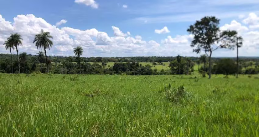Fazenda com 1 sala à venda no Setor Central, Araguaína 