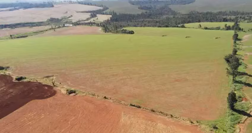 Fazenda de 173 hectares em sacramento 1.200 metros de altitude.