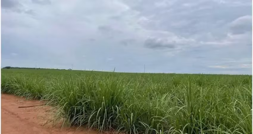 Fazenda à venda na Zona Rural, Rifaina 