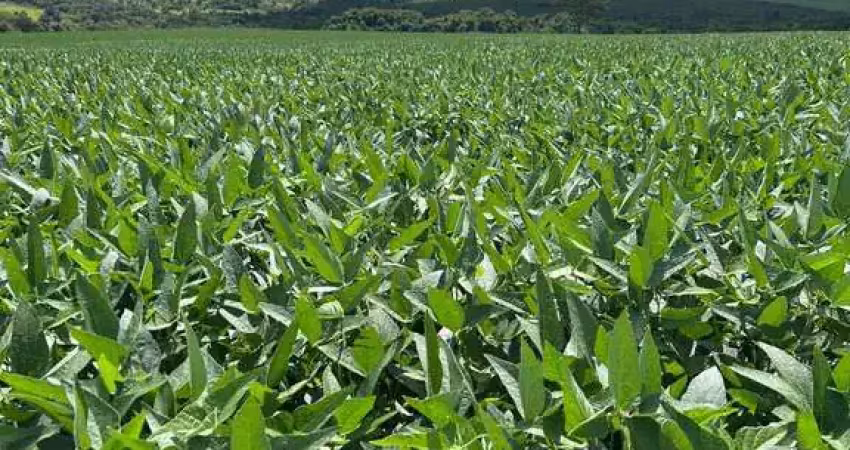 Fazenda à venda na Zona Rural, Prata 