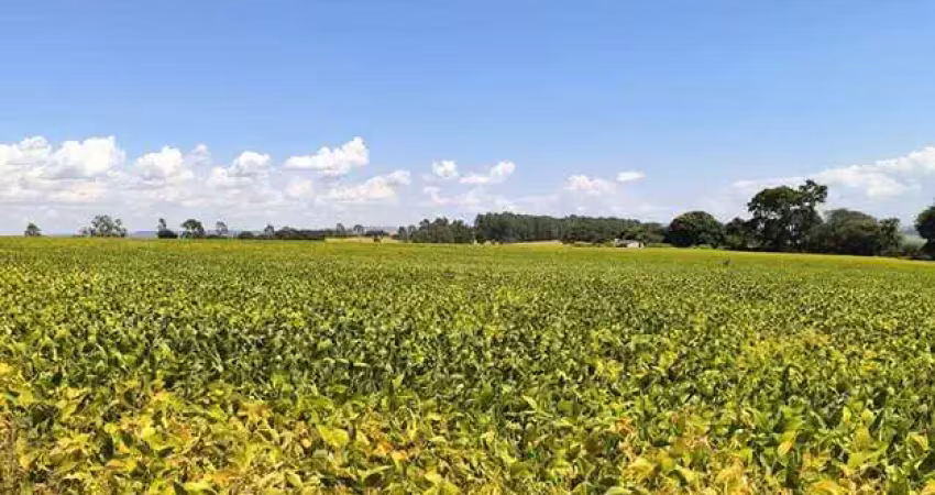 Propriedade rural de 61 hectares em araxá / perdizes
