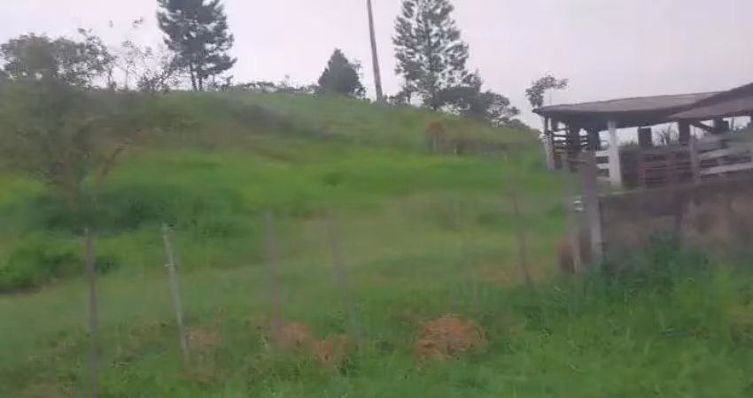 Fazenda à venda na Zona Rural, Campos Altos 