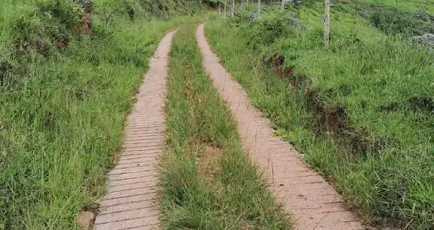 Chácara / sítio à venda na Zona Rural, Lima Duarte 