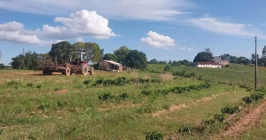 Fazenda à venda na Zona Rural, Campos Altos 