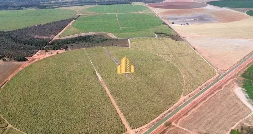 Fazenda de 300 hectares arrendada para usina de cana - oportunidade com renda garantida!