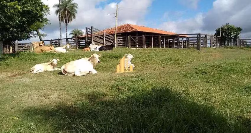 Fazenda à venda na Zona Rural, São Gotardo 