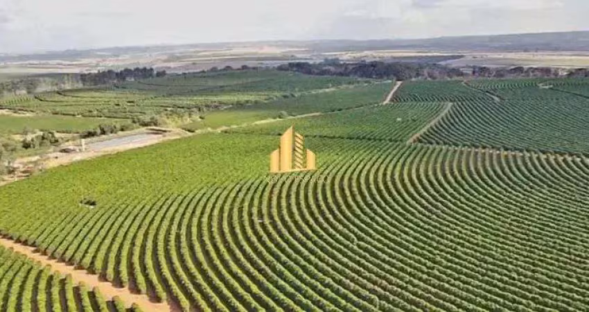 Fazenda à venda na Zona Rural, São Gotardo 