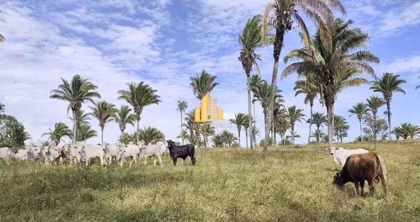 Fazenda à venda no Centro, Perdizes 