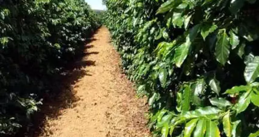 Fazenda à venda na Área Rural de Patrocínio, Patrocínio 