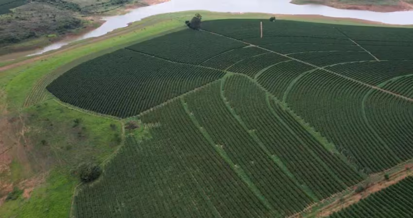Fazenda à venda na Zona Rural, Iraí de Minas 