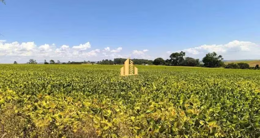 Fazenda à venda em araxá / perdizes - 61 hectares - excelente para plantio e pecuária