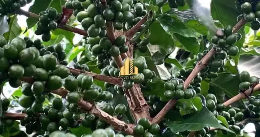 Fazenda de café à venda em minas gerais &#150; entre ibiá e pratinha (243 ha, altitude 1.100m)