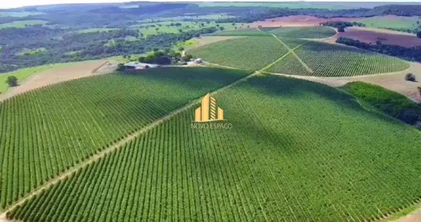 Fazenda à venda na Área Rural de Patos de Minas, Patos de Minas 